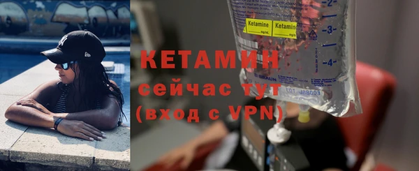сатива Заволжье