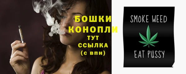 дмт Заволжск