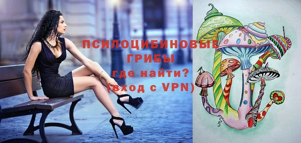 mdma Заводоуковск
