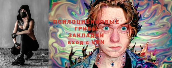 сатива Заволжье
