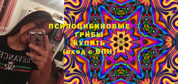 сатива Заволжье