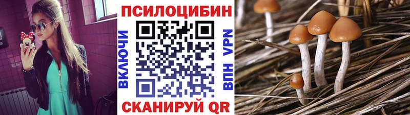 Купить где  Михайловск  Галлюциногенные грибы Magic Shrooms 